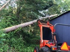 Lift the tree